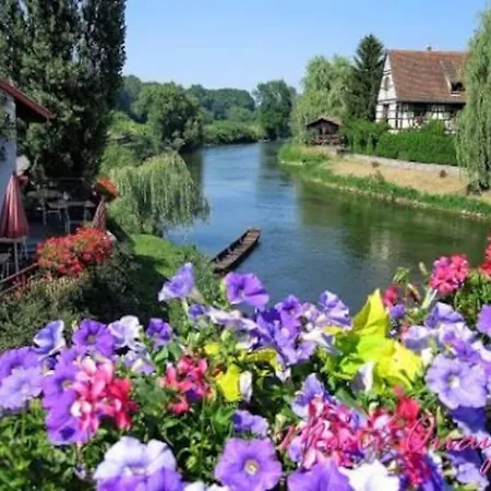 Appartement Le Cocon Du Bord De L'ill Illhaeusern