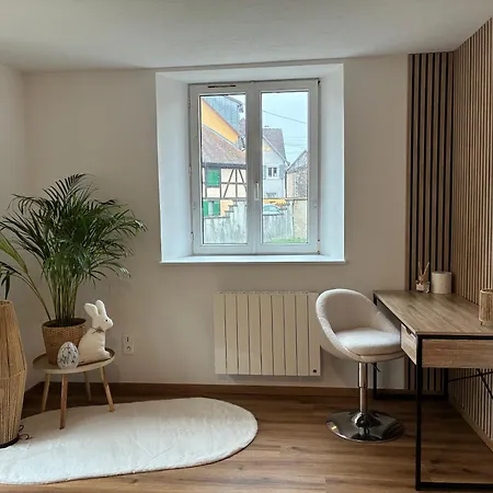 Apartment Le Cocon Du Bord De L'ill *