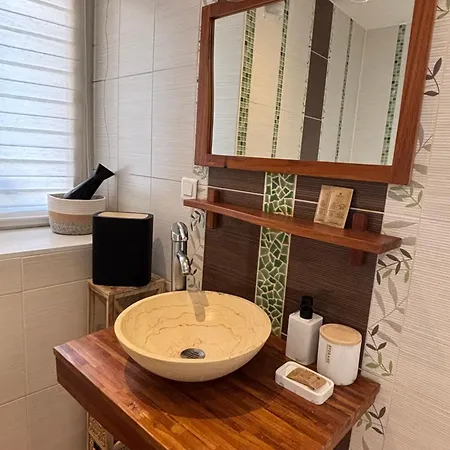 Apartment Le Cocon Du Bord De L'ill *